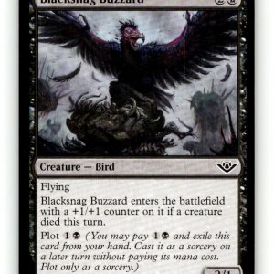 Blacksnag Buzzard [OTJ - 79] NM