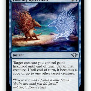 Fleeting Reflection [OTJ - 49] NM