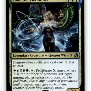 Tam, the Possibility [FRA - 276] NM